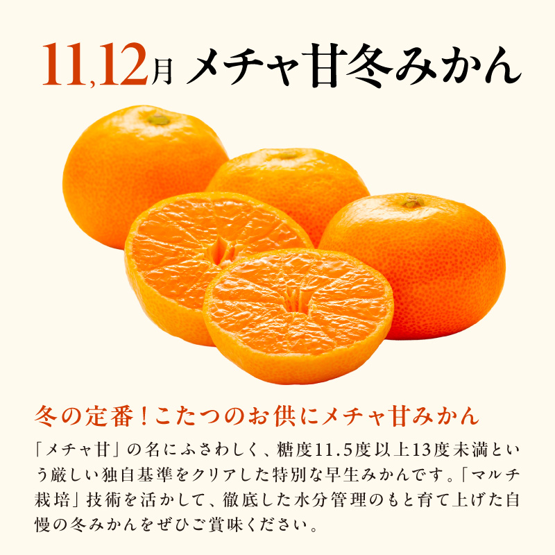 11・12月の御浜柑橘　メチャ甘冬みかん3〜5キロ【先行予約 期間限定 果物 フルーツ みかん 早生 早生みかん 3kg 5kg 冬 マルチ栽培 三重県 御浜町】