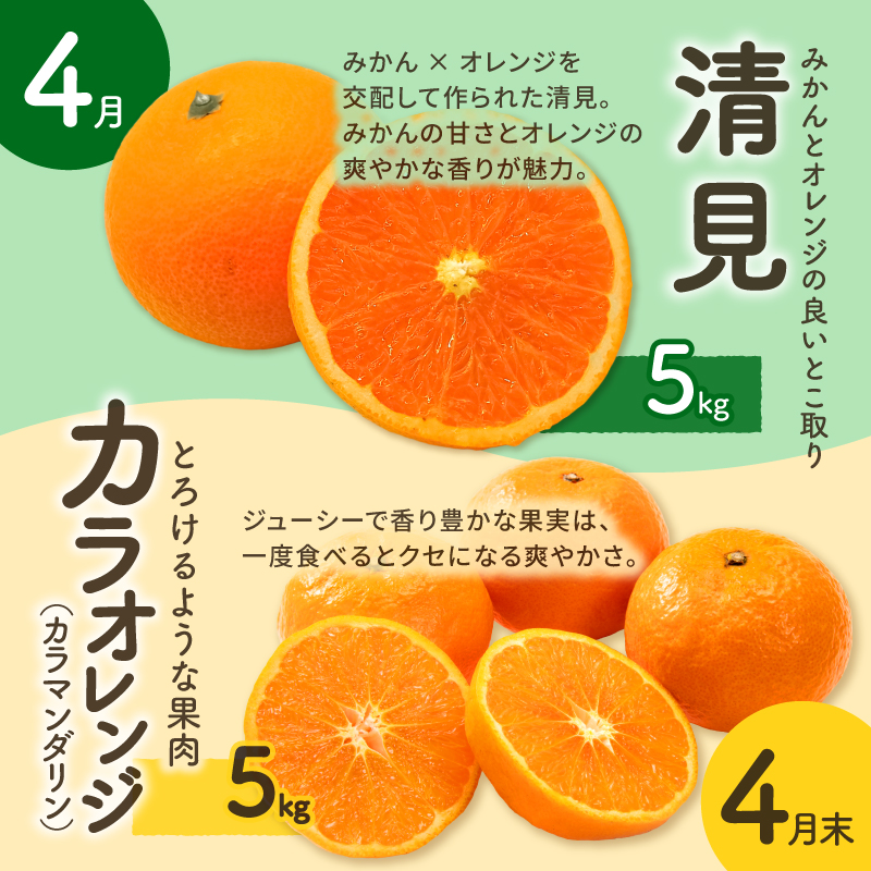 丸安青果の御浜町産特産品（全10回）【定期 定期便 10回 果物 フルーツ みかん 米 お米 梅干し 梅干 三重県 御浜町】