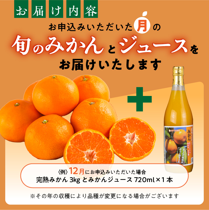 かきうち農園のみかんとジュースの詰め合わせ【果物 フルーツ みかん オレンジ デザート 旬 みかんジュース オレンジジュース セット 詰め合わせ 三重県 御浜町】