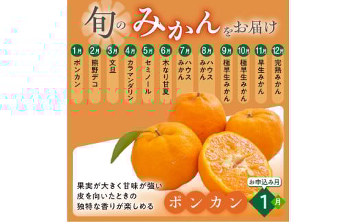 かきうち農園のみかんとジュースの詰め合わせ【果物 フルーツ みかん 旬 みかんジュース オレンジジュース セット 詰め合わせ 三重県 御浜町】