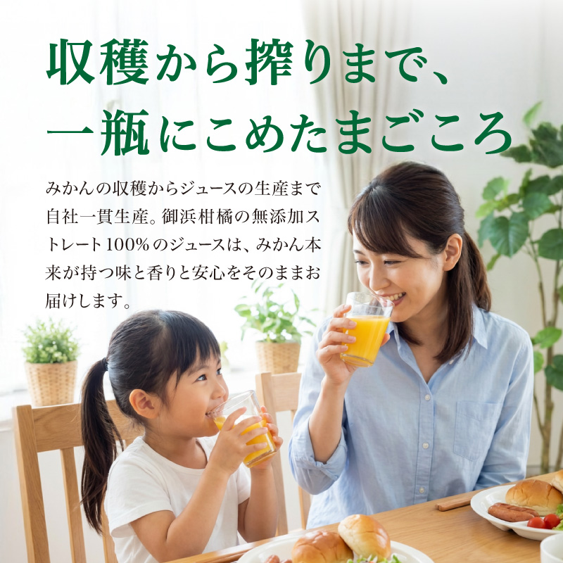 御浜柑橘の孫心みかんジュース【果物 フルーツ みかん みかんジュース オレンジジュース ジュース セット 詰め合わせ 3本 まごころ 三重県 御浜町】