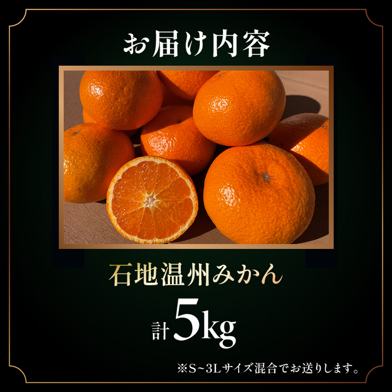 ミカファームの石地温州みかん5キロ【期間限定 数量限定 果物 フルーツ みかん 温州みかん 石地温州みかん デザート 5kg 三重県 御浜町】