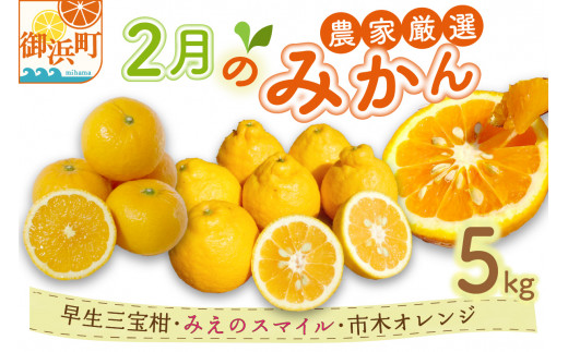 2月の御浜柑橘　みかん詰め合わせ5キロ【先行予約 期間限定 果物 フルーツ みかん 市木オレンジ みえのスマイル 早生三宝柑 三宝柑 詰め合わせ 5kg 冬 三重県 御浜町】