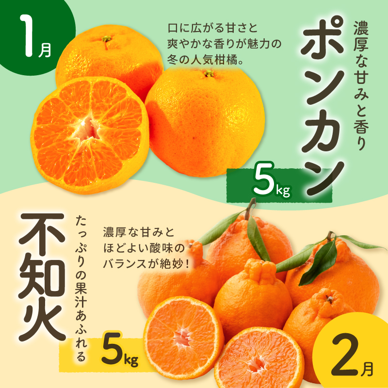 丸安青果の御浜町産特産品（全10回）【定期 定期便 10回 果物 フルーツ みかん 米 お米 梅干し 梅干 三重県 御浜町】