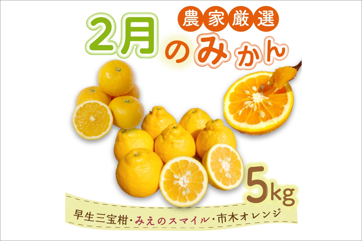 2月の御浜柑橘　みかん詰め合わせ5キロ