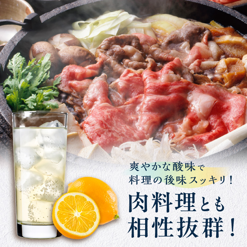 Yアルコの寶「CRAFT」伊勢路マイヤーレモン酎ハイ【お酒 酒 チューハイ 酎ハイ レモンチューハイ レモン酎ハイ マイヤーレモン クラフトチューハイ 三重県 御浜町】