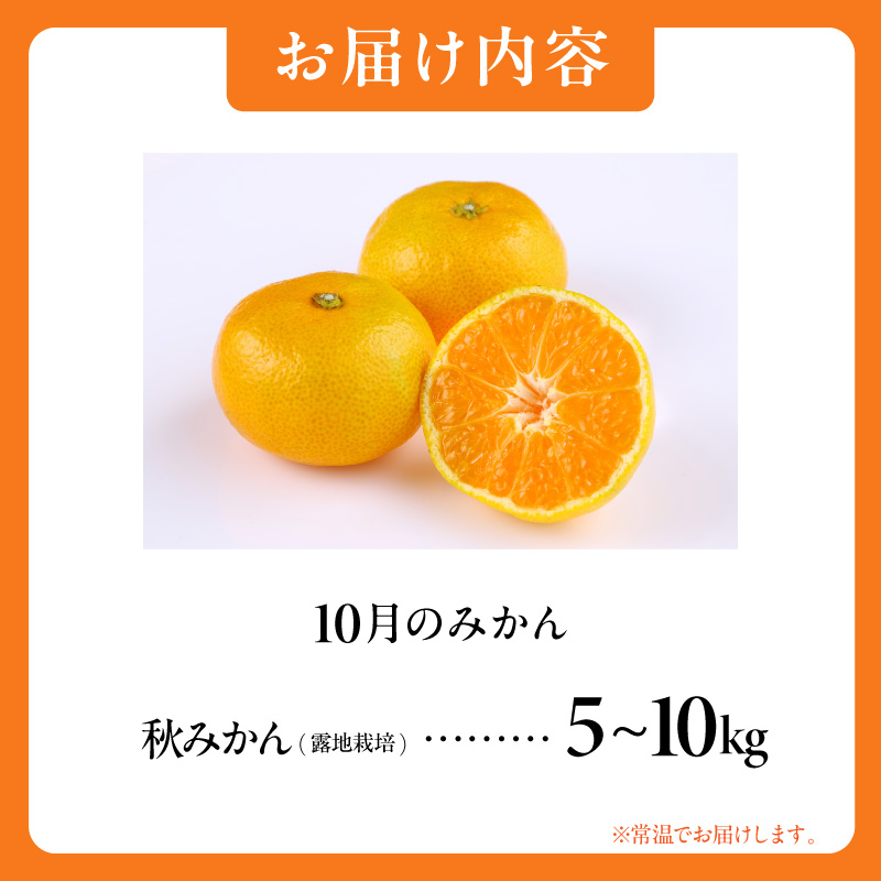 10月の御浜柑橘 秋みかん 5〜10キロ【先行予約 期間限定 果物 フルーツ みかん 極早生みかん 極早生 5kg 〜 10kg 露地栽培 三重県 御浜町】