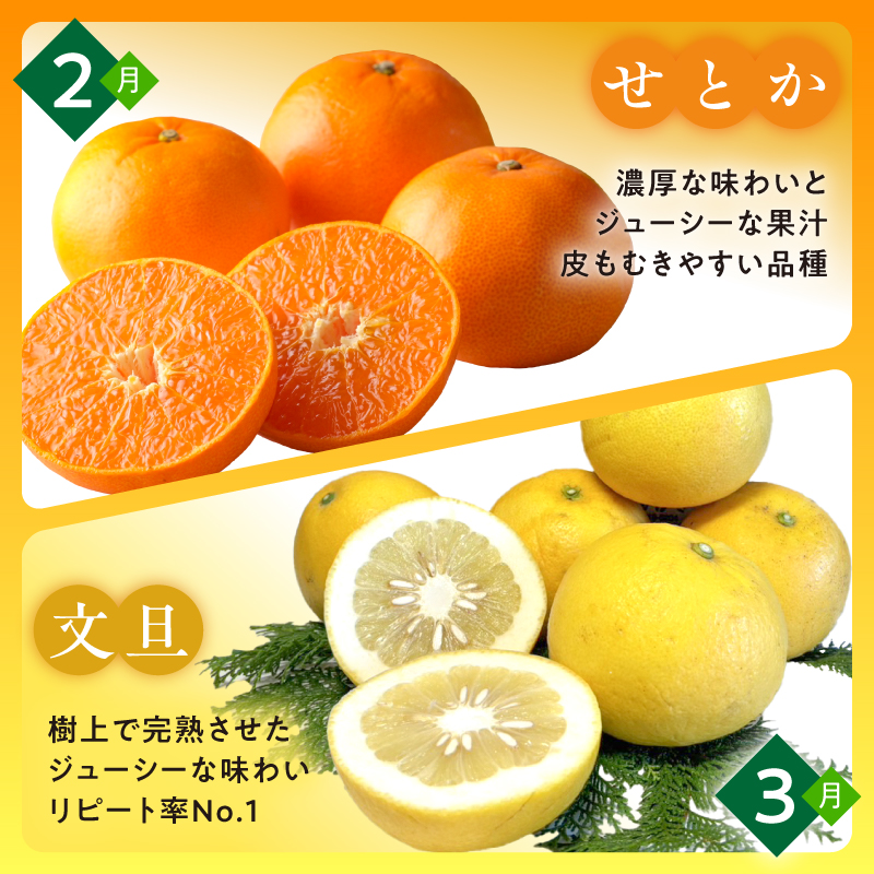 かきうち農園のオレンジ便（全10回）【果物 フルーツ みかん オレンジ デザート みかんジュース オレンジジュース 定期便 定期 10回 三重県 御浜町】