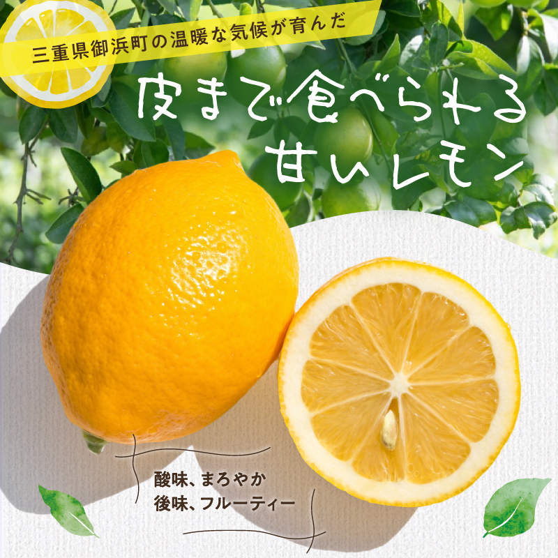 たかみ農園マイヤーレモンセット【希少 国産 レモン マイヤーレモン ドライフルーツ 黒にんにく レモン果汁 セット 詰め合わせ 三重県 御浜町】