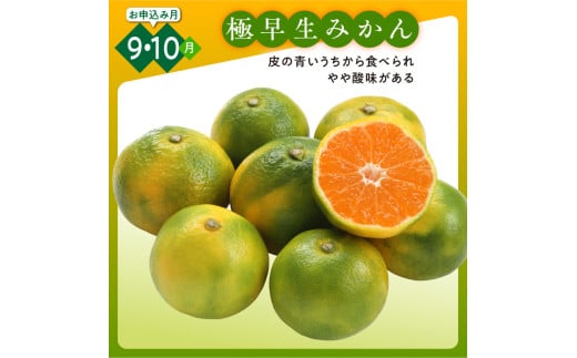 かきうち農園のみかんとジュースの詰め合わせ【果物 フルーツ みかん 旬 みかんジュース オレンジジュース セット 詰め合わせ 三重県 御浜町】