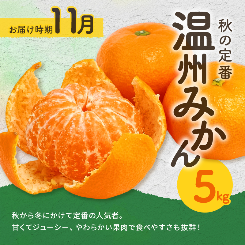 丸安青果の御浜町産みかん（全5回）【果物 フルーツ みかん 定期 定期便 5回 ポンカン 不知火 サンフルーツ ハウス 温州 三重県 御浜町】