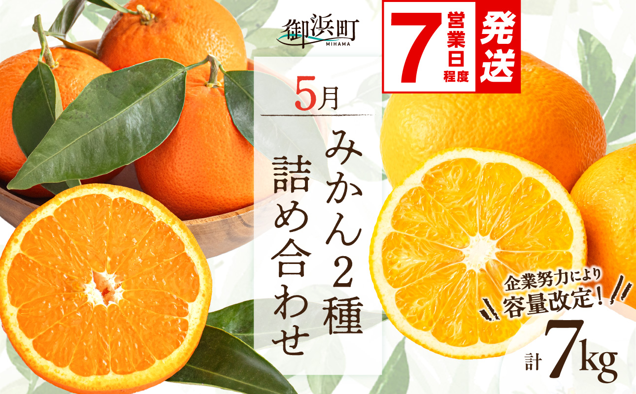 〈 ご入金確認から7営業日程度で発送！ 〉5月の御浜柑橘 みかん2種詰め合わせ 7キロ【先行予約 期間限定 果物 フルーツ みかん セミノール 甘夏 詰め合わせ セット 7kg 三重県 御浜町】