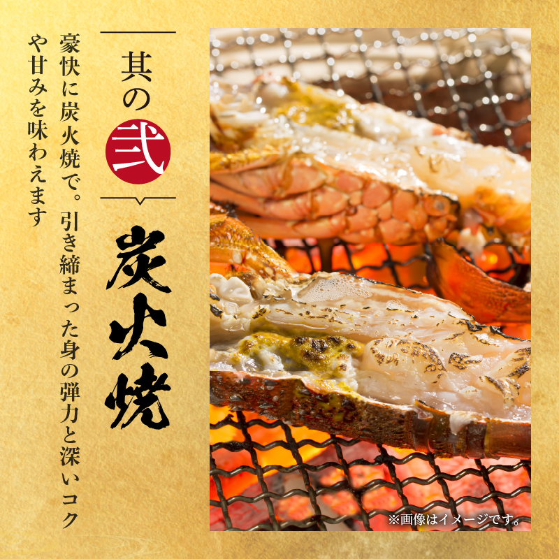 文恵丸水産の熊野灘産活伊勢海老　御浜コース 1〜3尾 約500g前後【魚介 伊勢えび 伊勢海老 海老 えび 活き 三重県 御浜町】