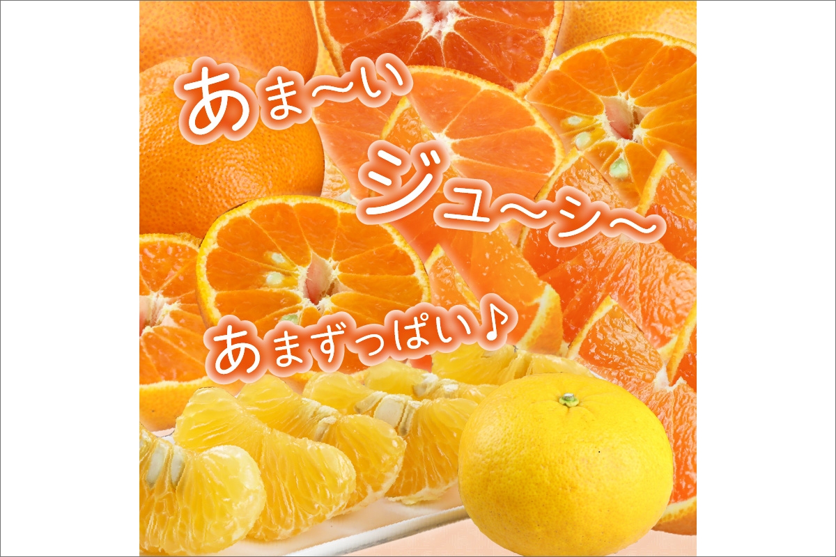 4月の御浜柑橘　メチャ甘不知火（3キロ前後）