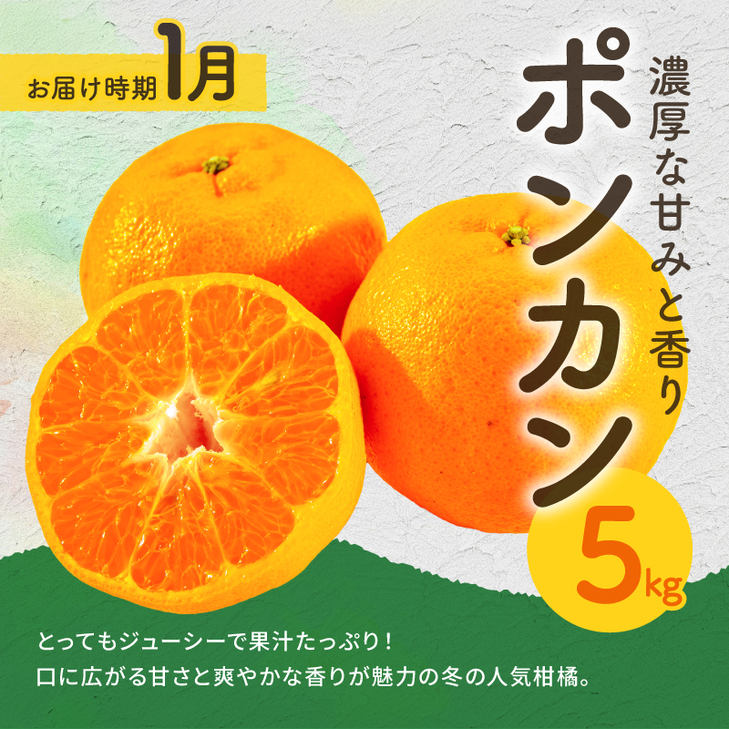 丸安青果の御浜町産みかん（全5回）【果物 フルーツ みかん 定期 定期便 5回 ポンカン 不知火 サンフルーツ ハウス 温州 三重県 御浜町】