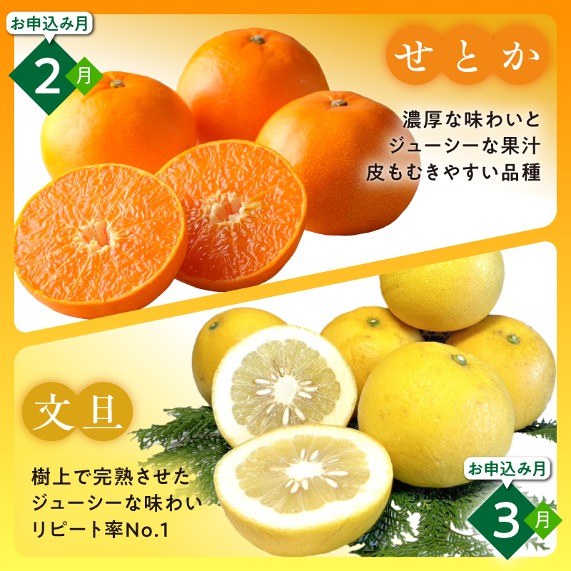かきうち農園のみかんとジュースの詰め合わせ【果物 フルーツ みかん オレンジ デザート 旬 みかんジュース オレンジジュース セット 詰め合わせ 三重県 御浜町】