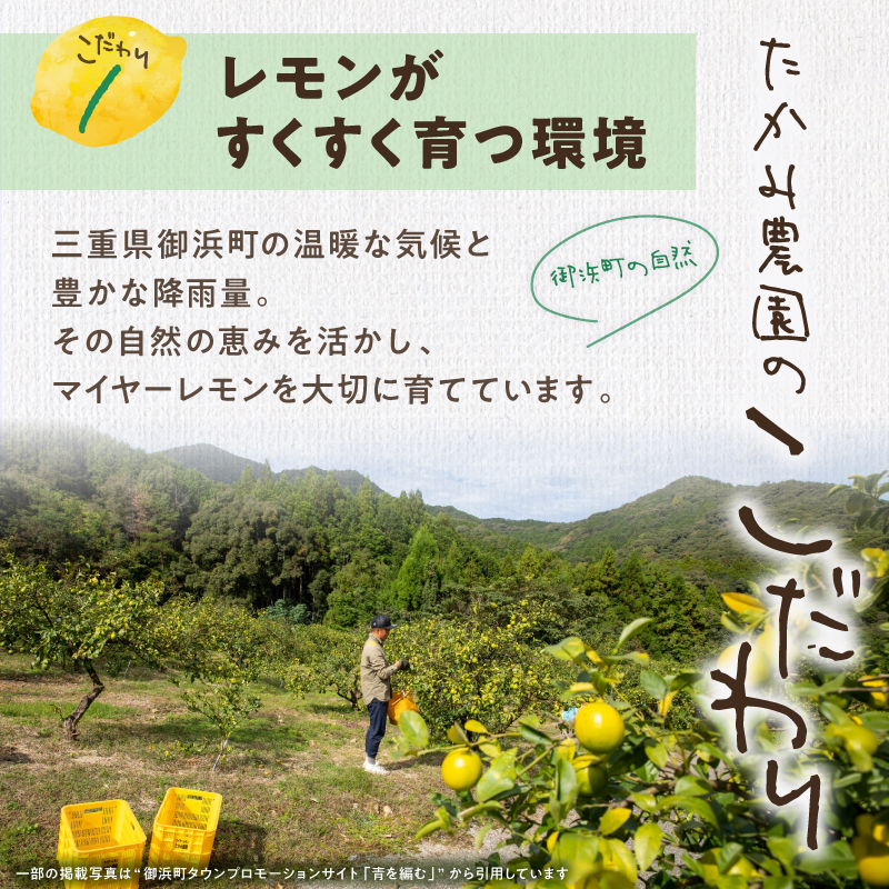 たかみ農園マイヤーレモンセット【希少 国産 レモン マイヤーレモン ドライフルーツ 黒にんにく レモン果汁 セット 詰め合わせ 三重県 御浜町】