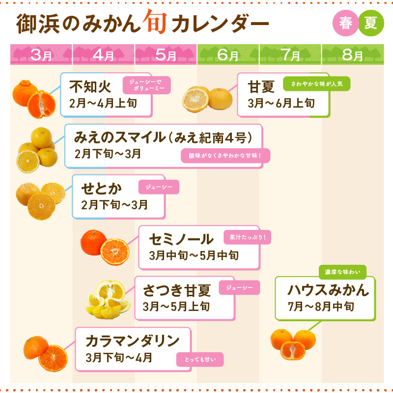 ミカファームの石地温州みかん9.5キロ