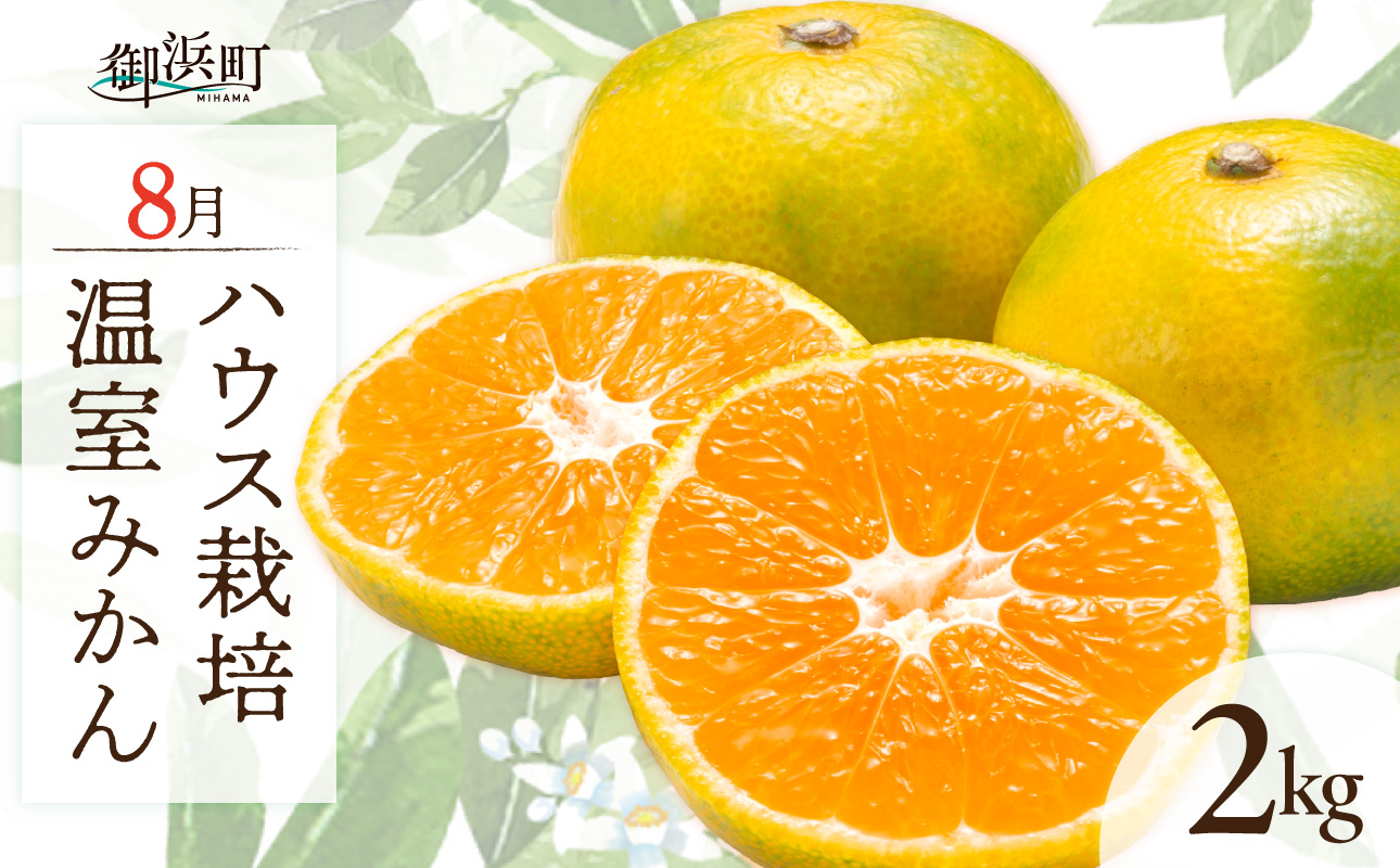 8月の御浜柑橘 温室みかん 2キロ【先行予約 期間限定 果物 フルーツ みかん 温室みかん 2kg 三重県 御浜町】