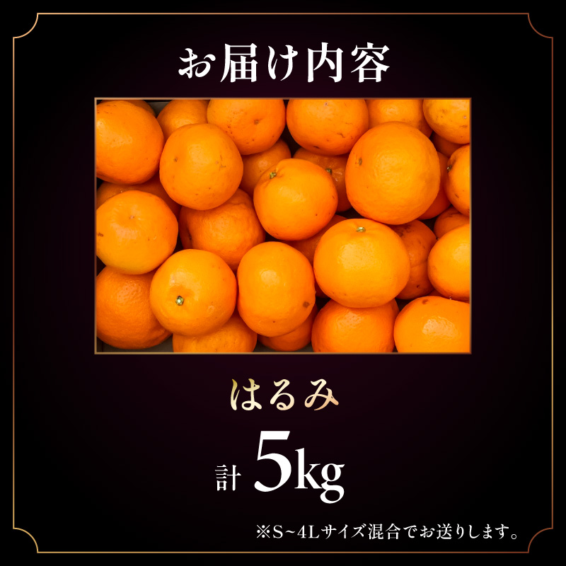 【2027年発送先行予約品】弾ける旨さ！ミカファームのはるみ5キロ【期間限定 数量限定 果物 フルーツ みかん はるみ デザート 5kg 三重県 御浜町】