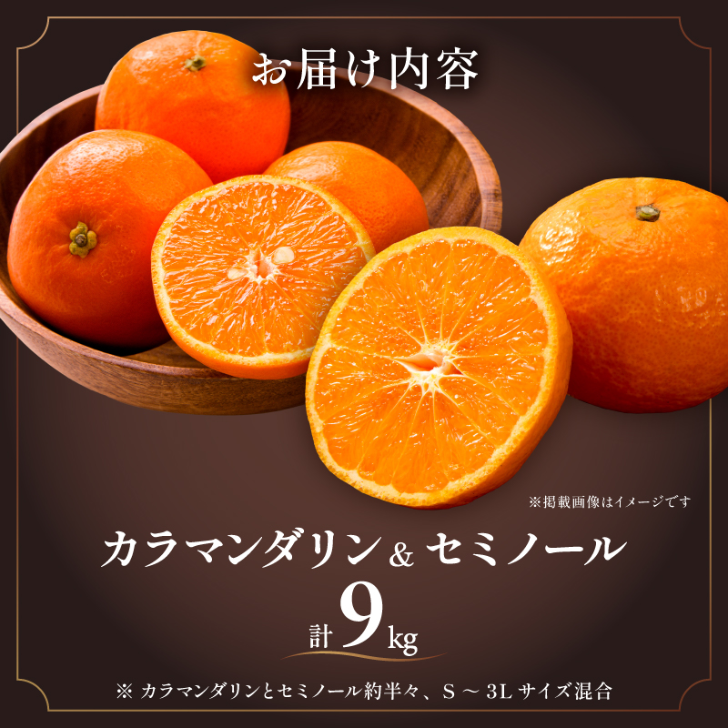 ミカファームのカラマンダリン＆セミノール9キロ【数量限定 果物 フルーツ みかん カラマンダリン セミノール デザート 9kg セット 詰め合わせ 三重県 御浜町】