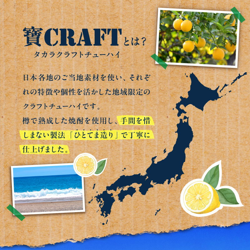Yアルコの寶「CRAFT」伊勢路マイヤーレモン酎ハイ【お酒 酒 チューハイ 酎ハイ レモンチューハイ レモン酎ハイ マイヤーレモン クラフトチューハイ 三重県 御浜町】