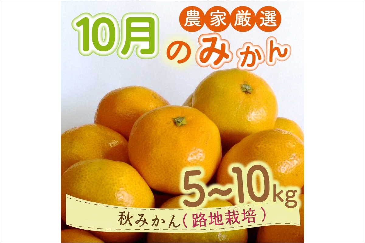 10月の御浜柑橘　秋みかん5～10キロ