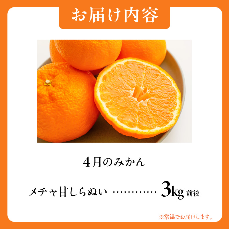 4月の御浜柑橘 メチャ甘しらぬい 3キロ前後【期間限定 果物 フルーツ みかん 不知火 しらぬい 3kg前後 三重県 御浜町】