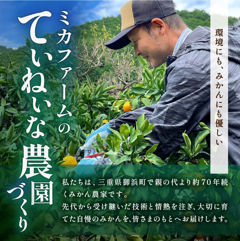 秋の味覚ミカファームの超極早生みかん5キロ【期間限定 数量限定 果物 フルーツ みかん 超極早生みかん 超極早生 デザート 5kg 三重県 御浜町】