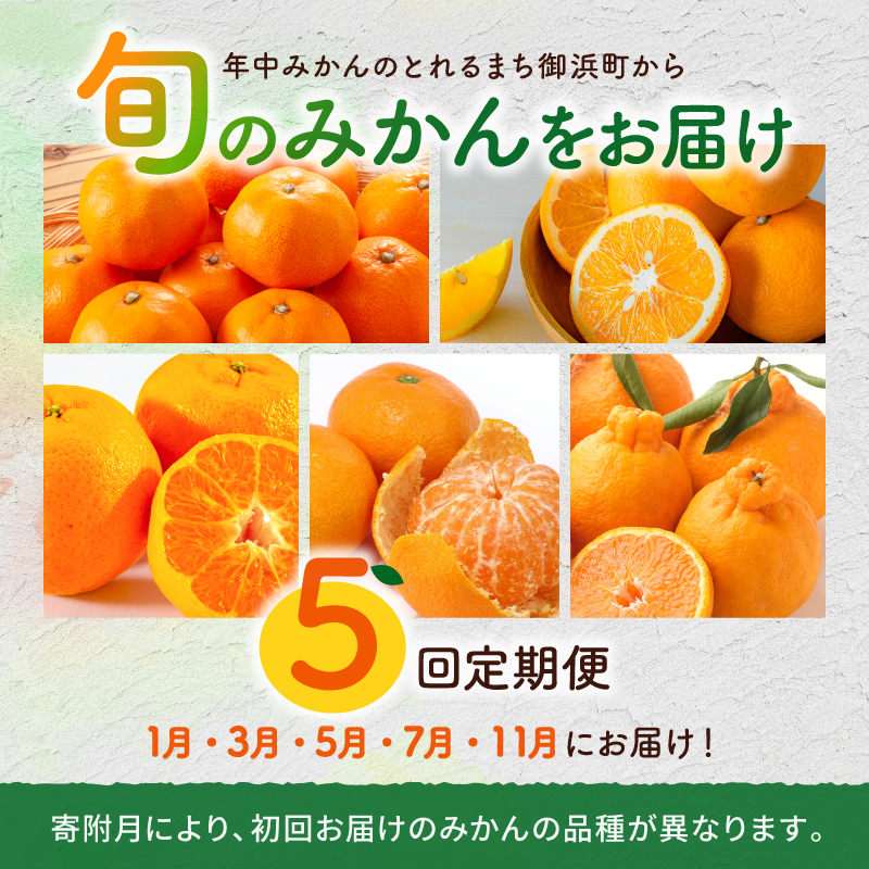 丸安青果の御浜町産みかん（全5回）【果物 フルーツ みかん 定期 定期便 5回 ポンカン 不知火 サンフルーツ ハウス 温州 三重県 御浜町】