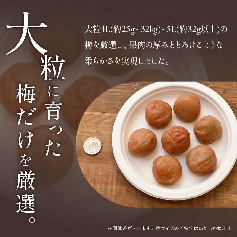 松本農園の大粒南高梅3キロ【数量限定 梅干し 梅干 梅 うめぼし 大粒 3kg 松本農園 昔ながら 大容量 三重県 御浜町】