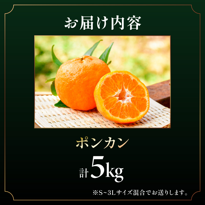 【2027年発送先行予約品】旨みと香りを産地直送！ミカファームのポンカン5キロ【期間限定 数量限定 果物 フルーツ みかん ぽんかん デザート 5kg 三重県 御浜町】