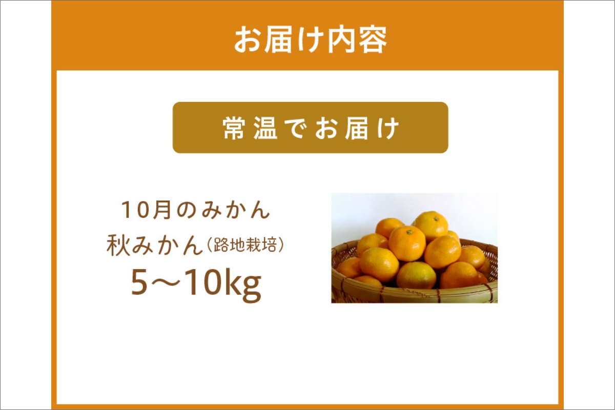 10月の御浜柑橘　秋みかん5～10キロ