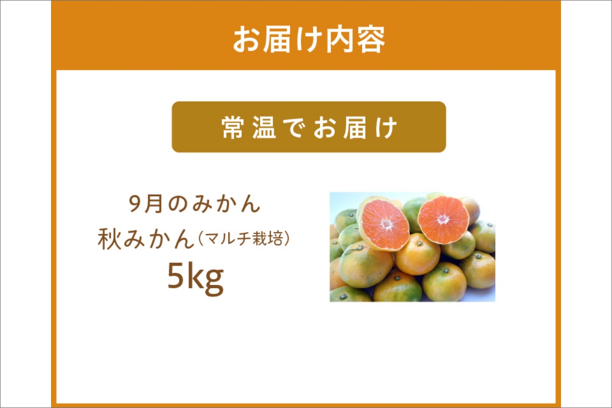 9月の御浜柑橘　秋みかん5キロ