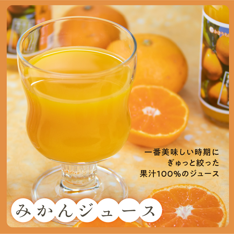 かきうち農園のみかんとジュースの詰め合わせ【果物 フルーツ みかん オレンジ デザート 旬 みかんジュース オレンジジュース セット 詰め合わせ 三重県 御浜町】