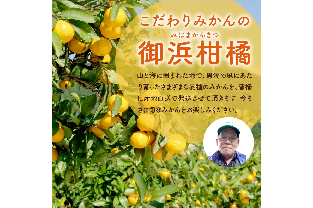 5月の御浜柑橘　みかん詰め合わせ5キロ