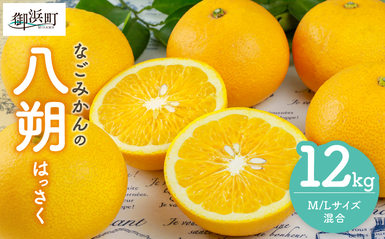【2027年発送先行予約品】なごみかんの八朔12キロ【数量限定 果物 フルーツ みかん 八朔 はっさく デザート 12kg 三重県 御浜町】