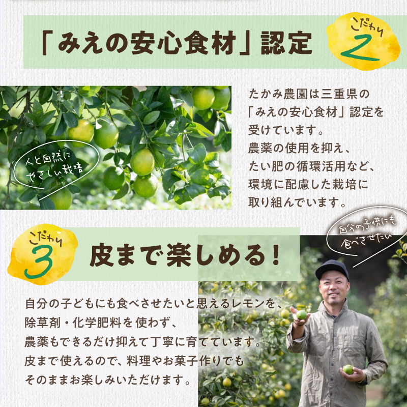 たかみ農園マイヤーレモンセット【希少 国産 レモン マイヤーレモン ドライフルーツ 黒にんにく レモン果汁 セット 詰め合わせ 三重県 御浜町】