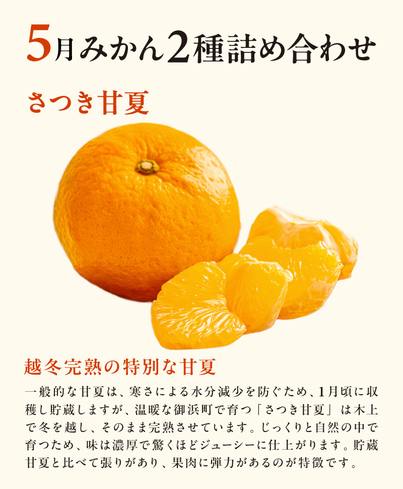 5月の御浜柑橘 みかん2種詰め合わせ 7キロ【先行予約 期間限定 果物 フルーツ みかん セミノール 甘夏 詰め合わせ セット 7kg 三重県 御浜町】