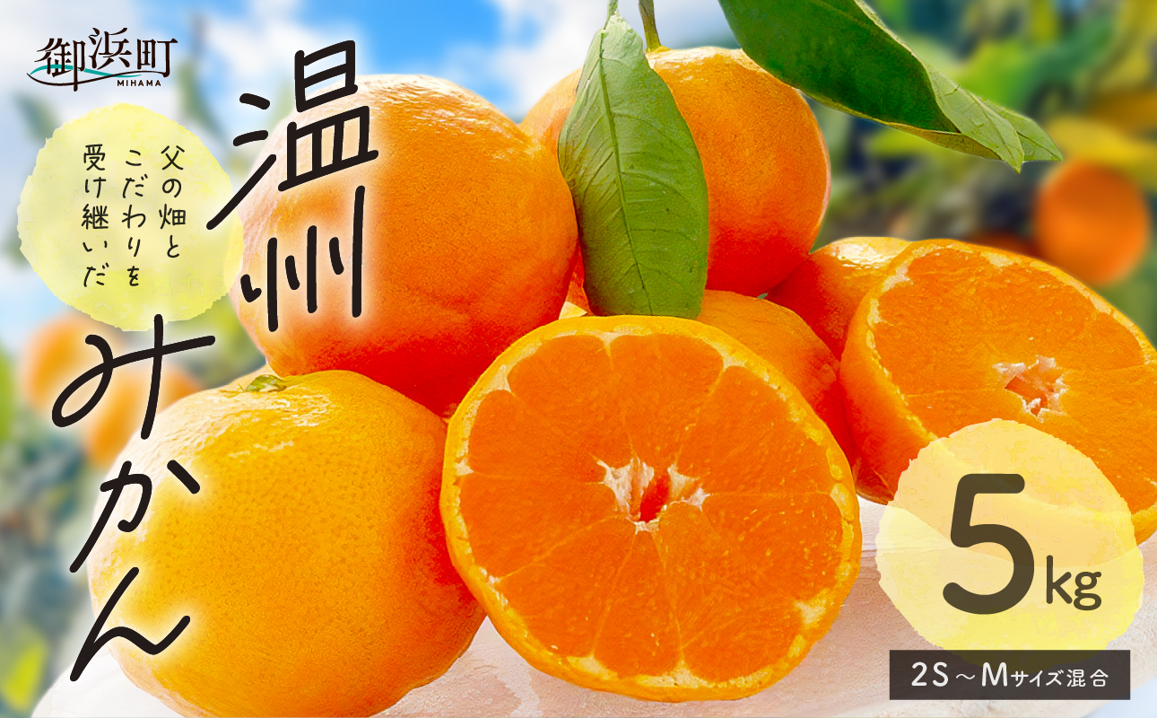 北東農園の温州みかん5キロ【数量限定 期間限定 果物 フルーツ みかん 温州みかん 5kg 三重県 御浜町】