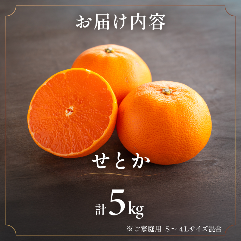 【2027年発送先行予約品】ミカファームのせとか5キロ（家庭用）【数量限定 果物 フルーツ みかん せとか デザート 5kg 三重県 御浜町】