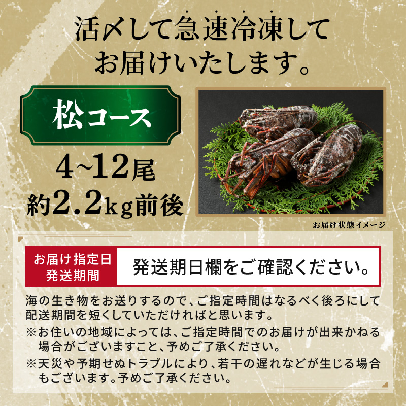 ［日付指定できる！］文恵丸水産の熊野灘産活〆急速冷凍伊勢海老　松4〜12尾 約2.2kg前後【要日時指定配達 急速冷凍 魚介 プロトン 伊勢海老 伊勢えび 海老 えび 三重県 御浜町 冷凍 のし対応可 熨斗】
