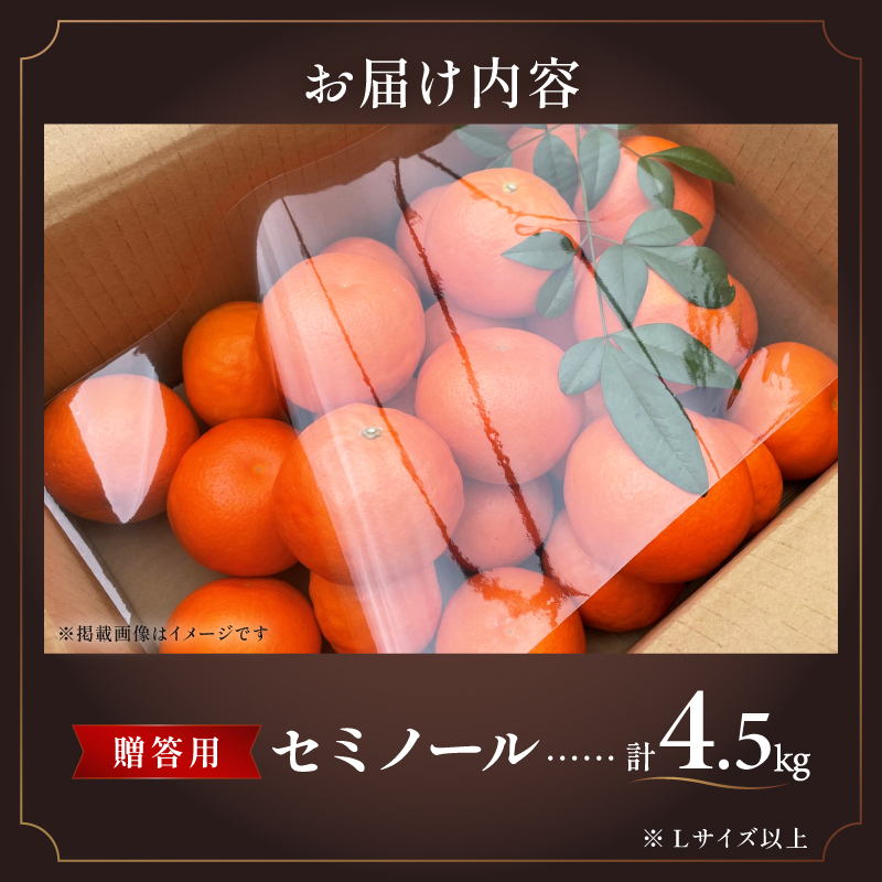 【2026年発送 先行予約品】ジューシーさダントツ！ミカファームのセミノール4.5キロ(贈答用)【数量限定 果物 フルーツ みかん セミノール デザート 4.5kg 贈答用 贈り物 三重県 御浜町】