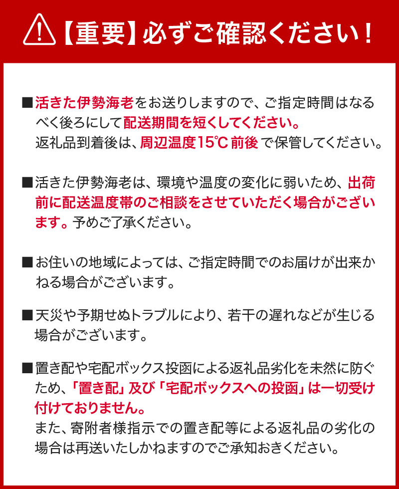 文恵丸水産の熊野灘産活伊勢海老　御浜コース 1〜3尾 約500g前後【魚介 伊勢えび 伊勢海老 海老 えび 活き 三重県 御浜町】