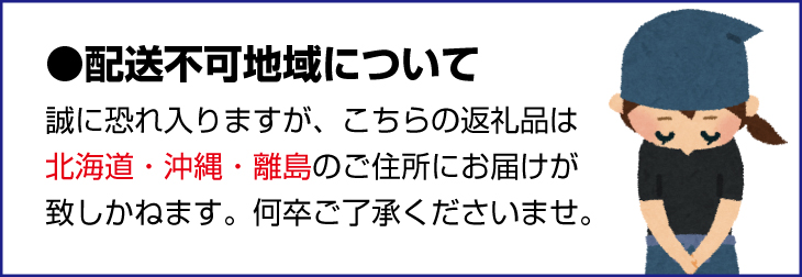 【先行予約】橋本農園の 訳あり セミノール 3kg 【2025年3月中旬から4月中旬に順次発送】 / セミノール 柑橘 フルーツ 果物 くだもの 先行予約 訳あり