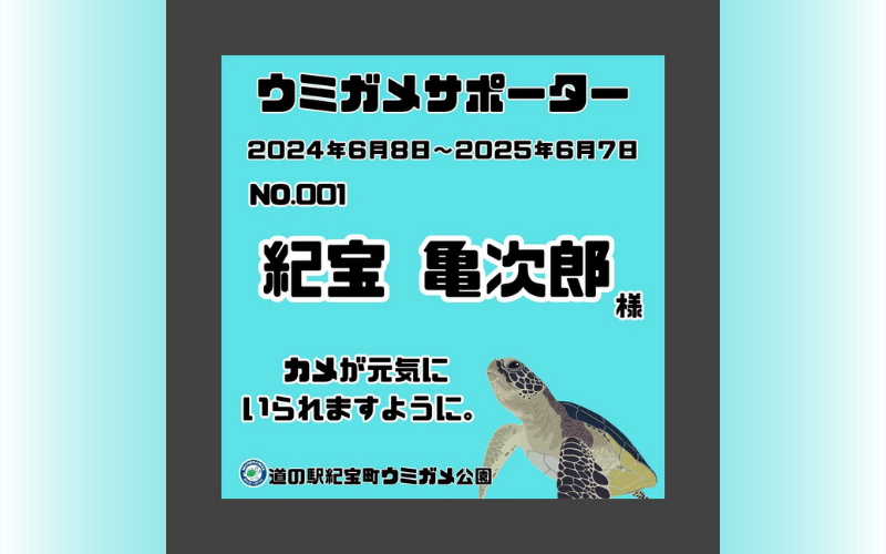 紀宝町ウミガメ公園 ウミガメサポーター（1年間） / ウミガメ サポーター ウミガメ公園 三重県 紀宝町 イベント 餌やり