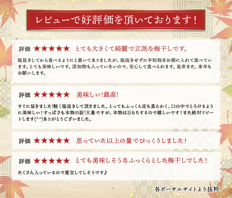 訳あり品 数量限定 完熟南高梅使用梅干し 2.5kg (1.25kg×2個) 2L～4L / 梅 梅干し 梅干 訳あり わけあり ワケアリ 昔ながら まろやか 無添加 塩分濃度約20％  無添加人気 大容量 2.5キロ 大粒 肉 厚 お米 おにぎり 焼酎 梅酒 自家栽培 健康