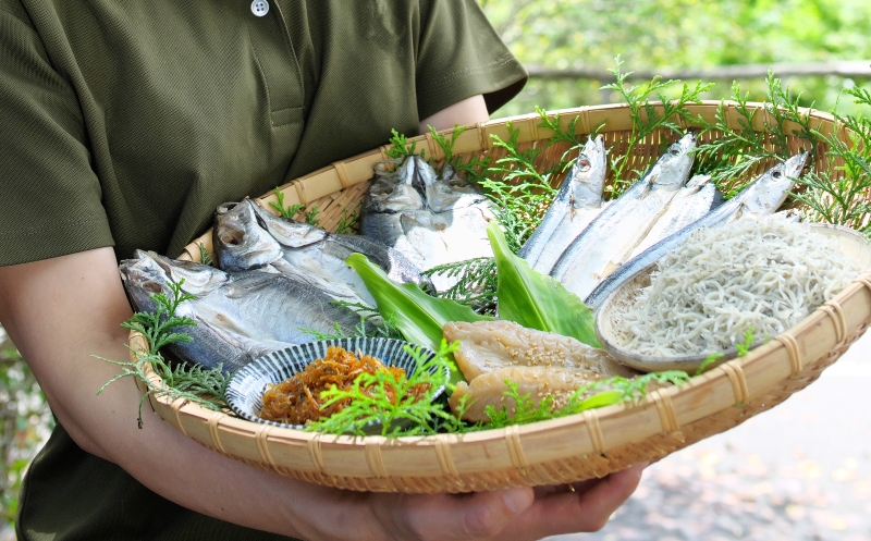 季節のおすすめ干物セットA  三重県紀宝町産 ※季節によって内容が異なります / ひもの 干物 みりん干し 開き 丸干し 詰め合わせ イカ さんま カマス しらす いわし アジ 冷蔵