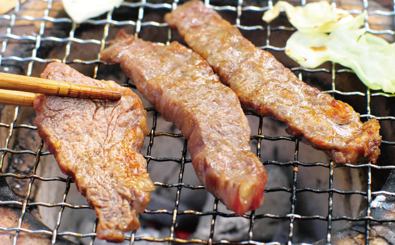 牛タレ仕込味付焼肉 300g×2パック&鶏味付焼肉 塩だれ味 400g×3パック 牛鶏合計1.8kgの焼肉セット【冷凍】 / 肉 牛肉 牛 鶏肉 小分け 味 焼き肉