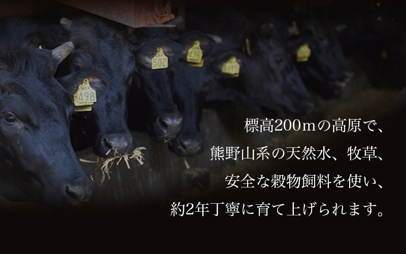 紀和牛すき焼き用ロース500g / 牛 牛肉 紀和牛 ロース すきやき 500g